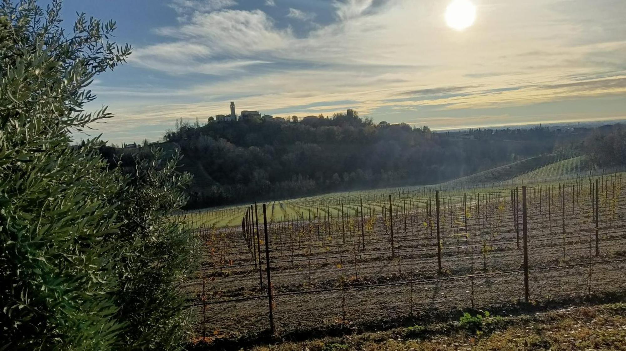 Il Giuggiolo Bed & Breakfast Conegliano Exterior photo