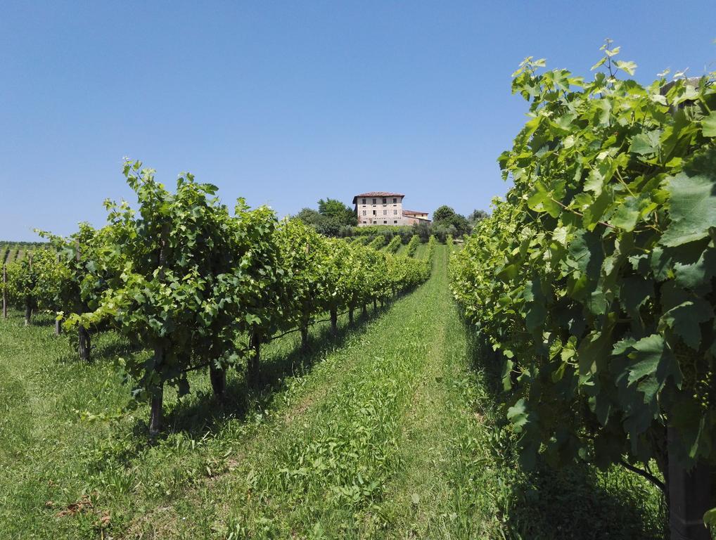 Il Giuggiolo Bed & Breakfast Conegliano Exterior photo