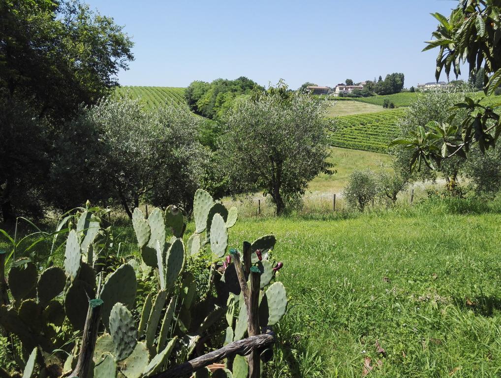 Il Giuggiolo Bed & Breakfast Conegliano Exterior photo